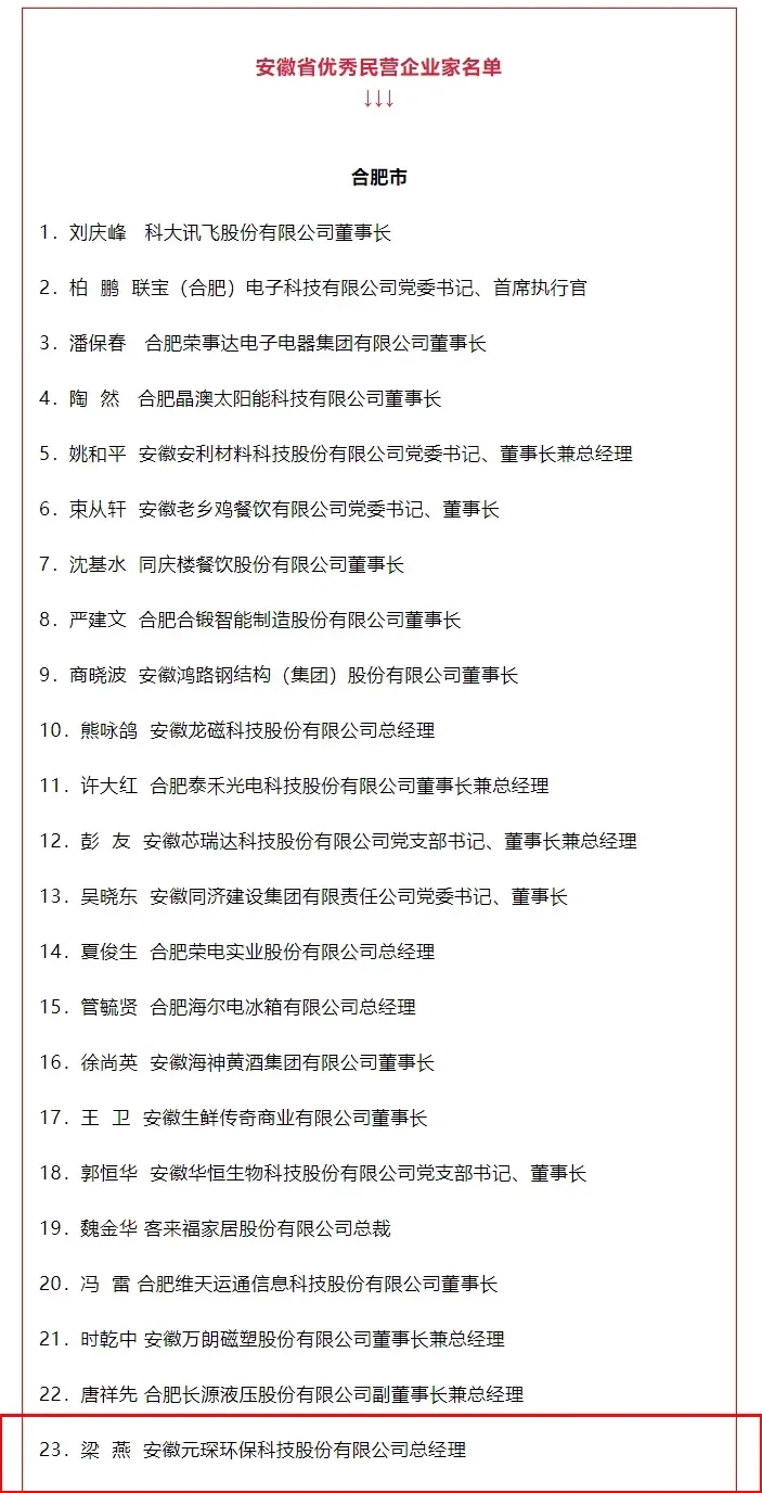 喜讯！元琛科技总经理梁燕被授予“安徽省优秀民营企业家”称号