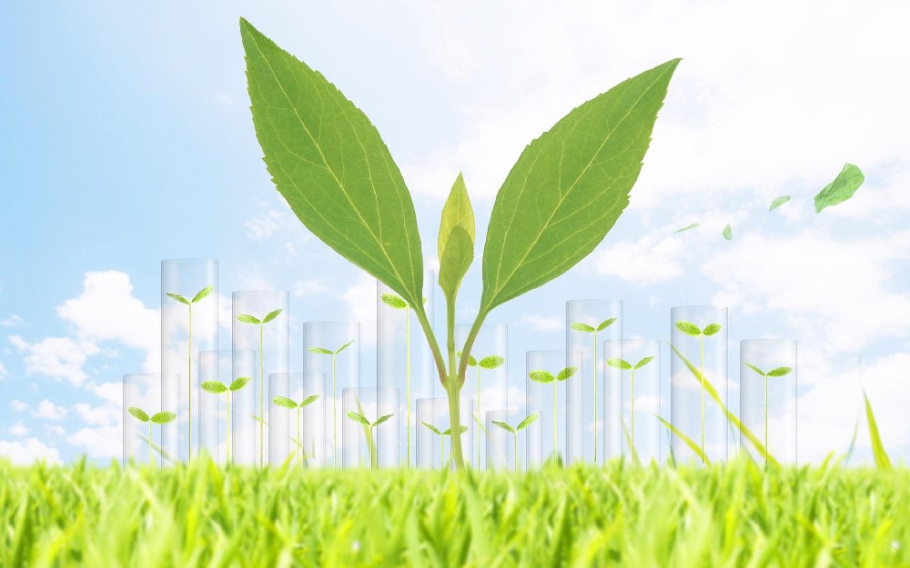 生物质发电厂如何除尘？